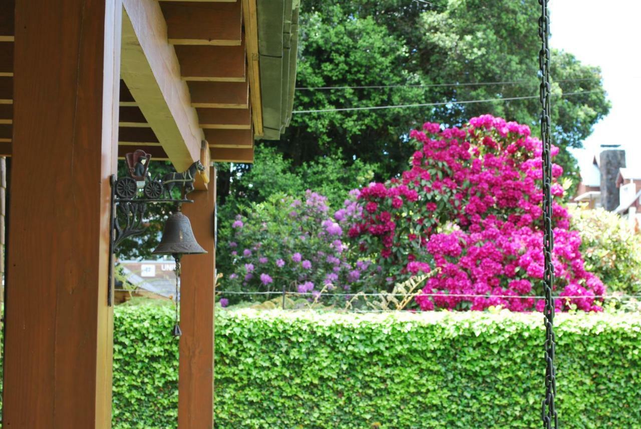 Frontera Pucon Hostel B&B מראה חיצוני תמונה
